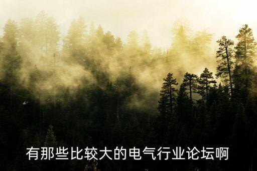 有那些比較大的電氣行業(yè)論壇啊