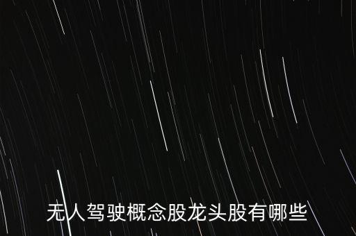 無(wú)人駕駛概念股龍頭股有哪些