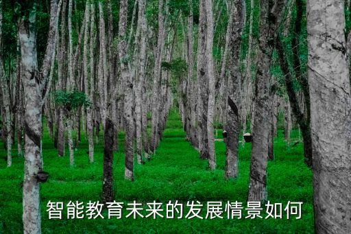 智能感應(yīng)飲水機(jī)趣味實(shí)驗(yàn)教案，智能教育未來(lái)的發(fā)展情景如何