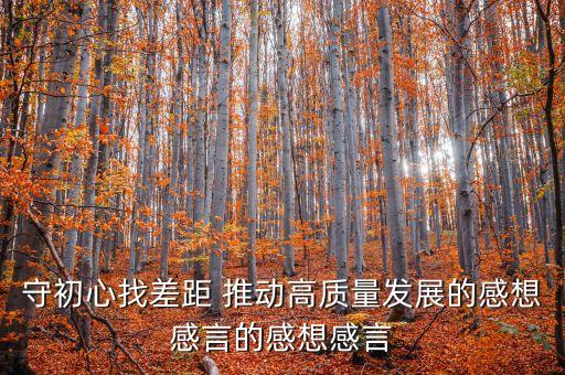 守初心找差距 推動(dòng)高質(zhì)量發(fā)展的感想感言的感想感言