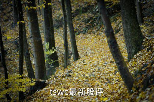 科創(chuàng)信息今天最新消息股票，tswc最新股評(píng)