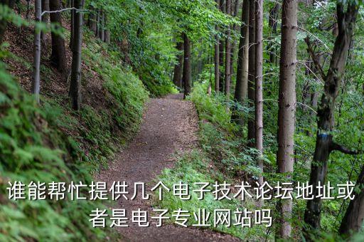 誰能幫忙提供幾個(gè)電子技術(shù)論壇地址或者是電子專業(yè)網(wǎng)站嗎