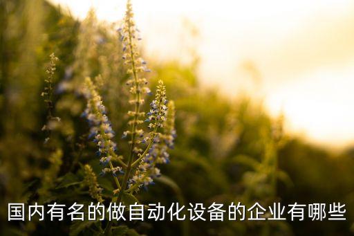 國內(nèi)有名的做自動化設(shè)備的企業(yè)有哪些
