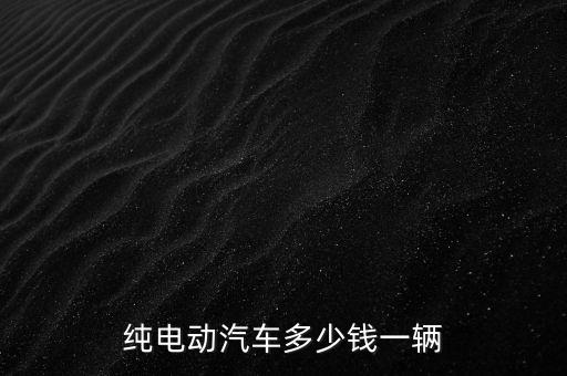 純電動汽車多少錢一輛