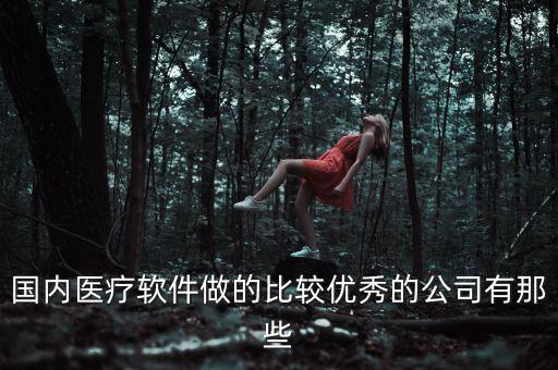國(guó)內(nèi)醫(yī)療軟件做的比較優(yōu)秀的公司有那些
