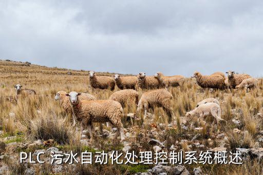 PLC 污水自動化處理控制系統(tǒng)概述