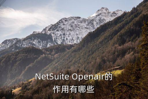 人工智能open的作用，NetSuite Openair的作用有哪些