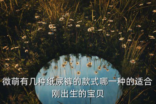 微萌有幾種紙尿褲的款式哪一種的適合剛出生的寶貝