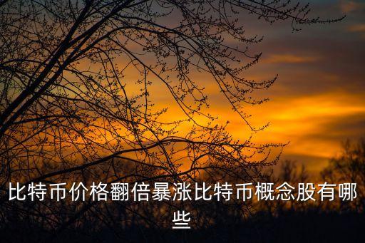 正宗的數(shù)字貨幣概念股龍頭，比特幣價格翻倍 比特幣概念股有哪些
