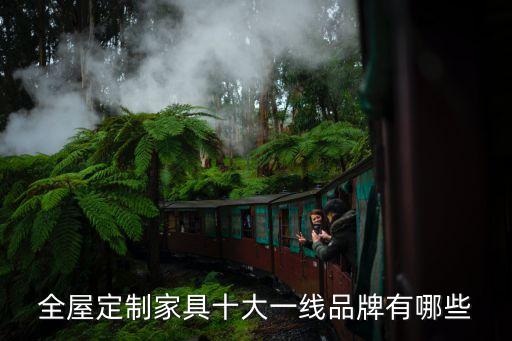 天津全屋定制十大名牌，全屋定制十大品牌有哪些