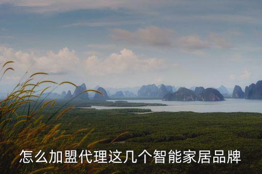 怎么加盟代理這幾個(gè)智能家居品牌