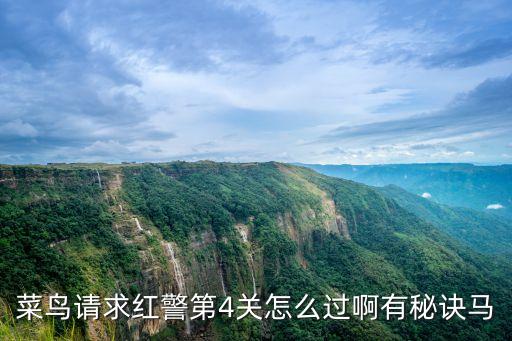 菜鳥請求紅警第4關(guān)怎么過啊有秘訣馬