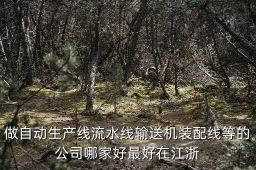 做自動生產(chǎn)線流水線輸送機(jī)裝配線等的公司哪家好最好在江浙
