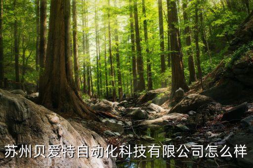 蘇州貝愛特自動(dòng)化科技有限公司怎么樣