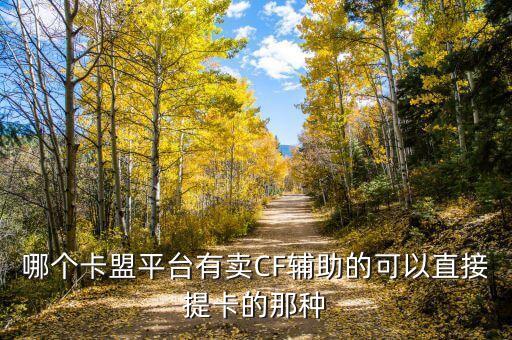 哪個(gè)卡盟平臺(tái)有賣CF輔助的可以直接提卡的那種