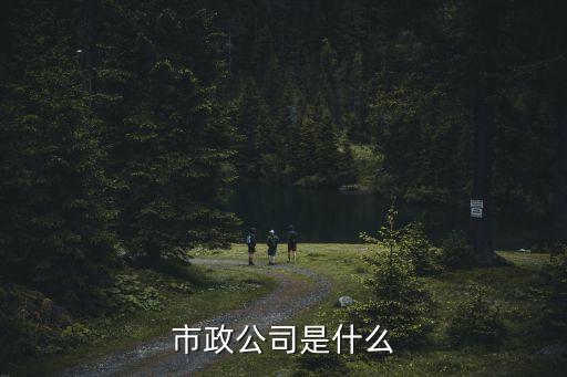 市政公司是什么
