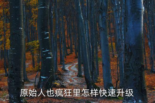 原始人也瘋狂里怎樣快速升級(jí)