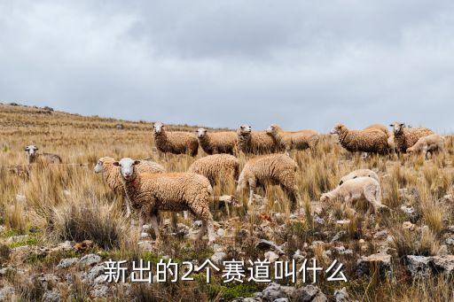 新科技有哪些賽道，新出什么賽道