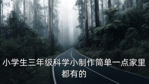 小學(xué)三年級(jí)簡單科技小制作，小學(xué)生三年級(jí)科學(xué)小制作簡單一點(diǎn)家里都有的