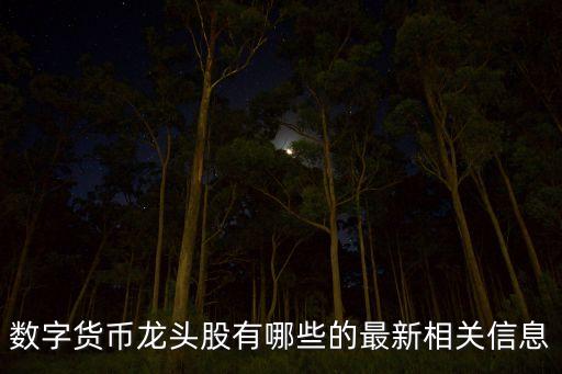 數(shù)字人民幣概念股龍頭視頻，人民幣升值概念股有哪些