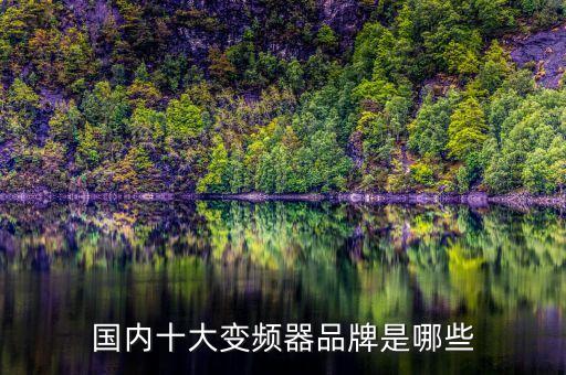 中國十大變頻器品牌大全，國內(nèi)十大變頻器品牌是哪些