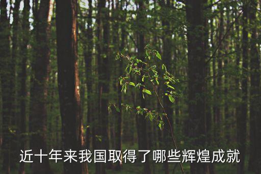 近十年來我國取得了哪些輝煌成就