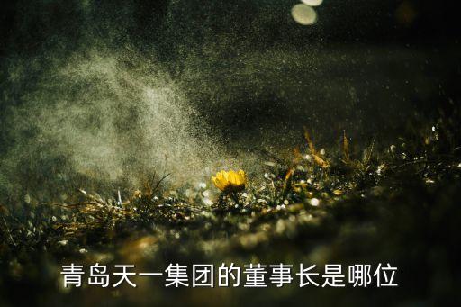 天一集團(tuán)董事長是誰，青島天一集團(tuán)的董事長是哪位