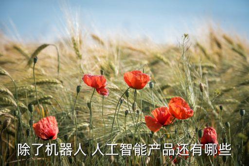 介紹一種人工智能的產(chǎn)品，人工智能產(chǎn)品的種類
