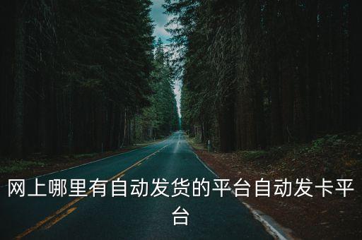 發(fā)卡網(wǎng)自動(dòng)發(fā)貨，誰(shuí)知道快發(fā)卡自動(dòng)發(fā)貨平臺(tái)讓賣(mài)什么東西