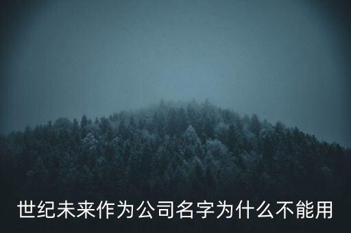 世紀(jì)未來作為公司名字為什么不能用
