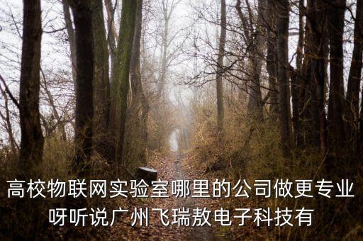 高校物聯(lián)網實驗室哪里的公司做更專業(yè)呀聽說廣州飛瑞敖電子科技有