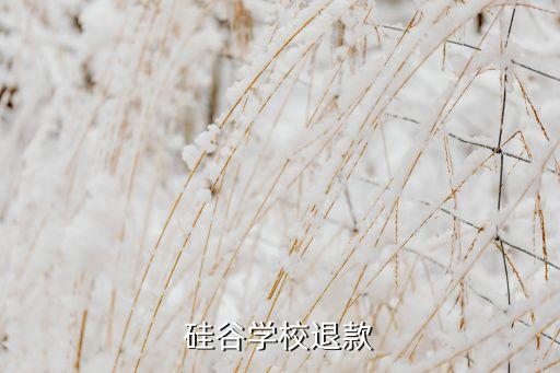 硅谷學校退款