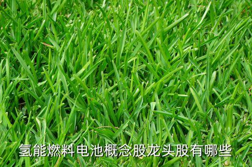 氫能燃料電池概念股龍頭股有哪些