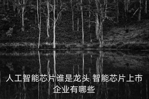 AI行業(yè)龍頭股，人工智能芯片誰是龍頭 智能芯片上市企業(yè)有哪些