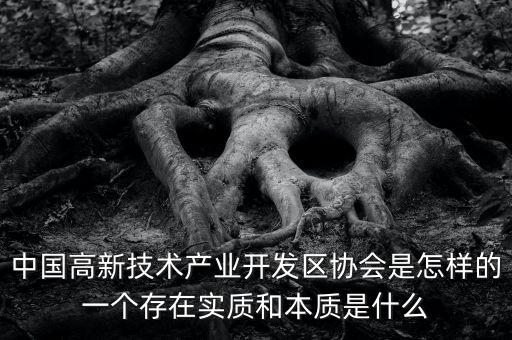 中國高新技術產業(yè)開發(fā)區(qū)協(xié)會是怎樣的一個存在實質和本質是什么