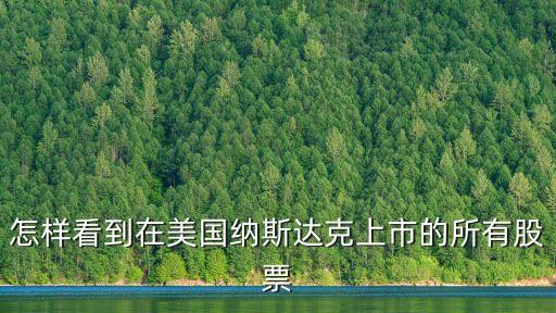 怎樣看到在美國納斯達克上市的所有股票