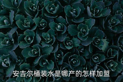 安吉爾桶裝水是哪產(chǎn)的怎樣加盟