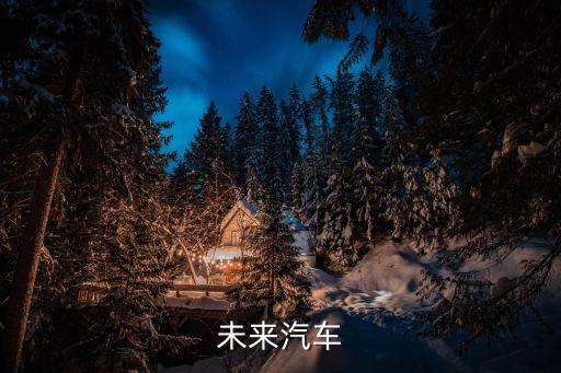 未來(lái)汽車