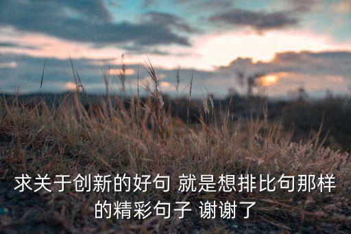 求關(guān)于創(chuàng)新的好句 就是想排比句那樣的精彩句子 謝謝了