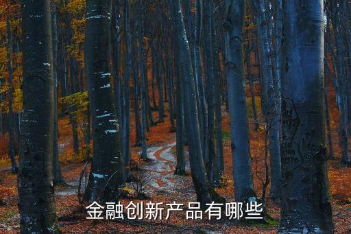 金融創(chuàng)新產(chǎn)品有哪些