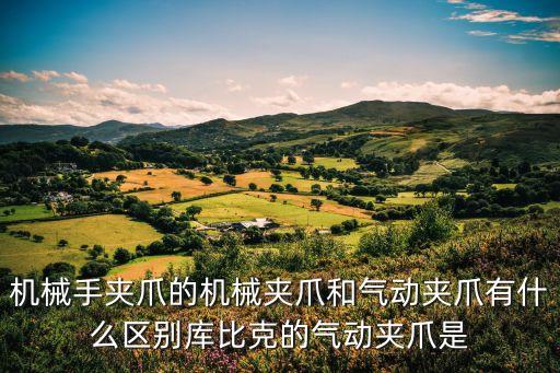 機械手爪，機械手臂的手爪的設計有標準么
