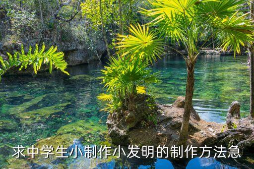 求中學(xué)生小制作小發(fā)明的制作方法急