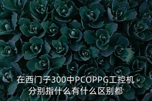 在西門子300中PCOPPG工控機(jī)分別指什么有什么區(qū)別都