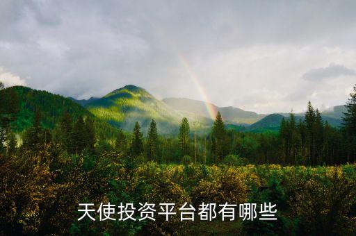 天使投資平臺(tái)都有哪些