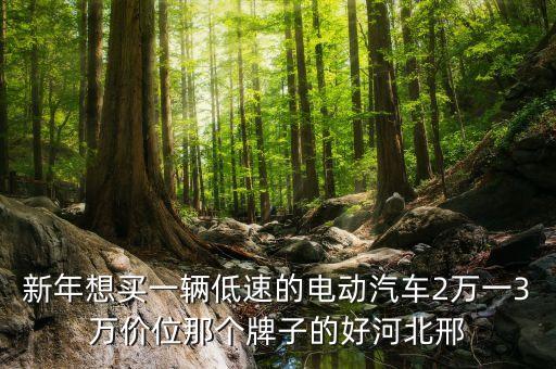 2萬一3萬電動(dòng)汽車哪個(gè)牌子好，價(jià)位在23萬左右的電動(dòng)汽車都有那些牌子