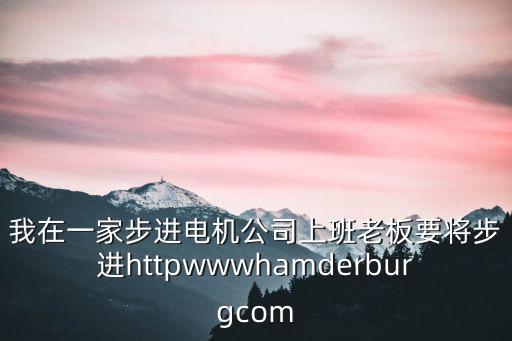 我在一家步進電機公司上班老板要將步進httpwwwhamderburgcom