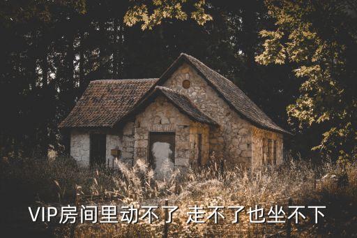 VIP房間里動(dòng)不了 走不了也坐不下