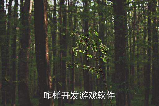 怎么開發(fā)軟件游戲，咋樣開發(fā)游戲軟件