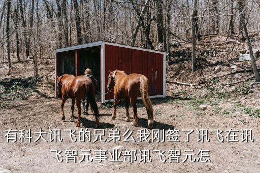 有科大訊飛的兄弟么我剛簽了訊飛在訊飛智元事業(yè)部訊飛智元怎