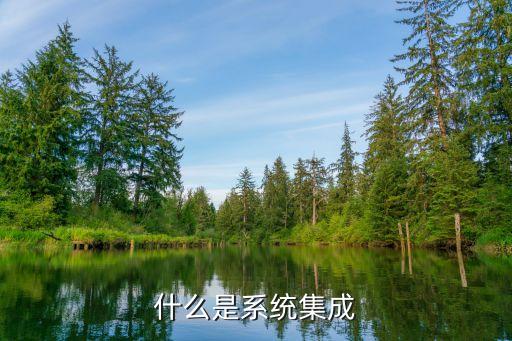 什么是系統(tǒng)集成